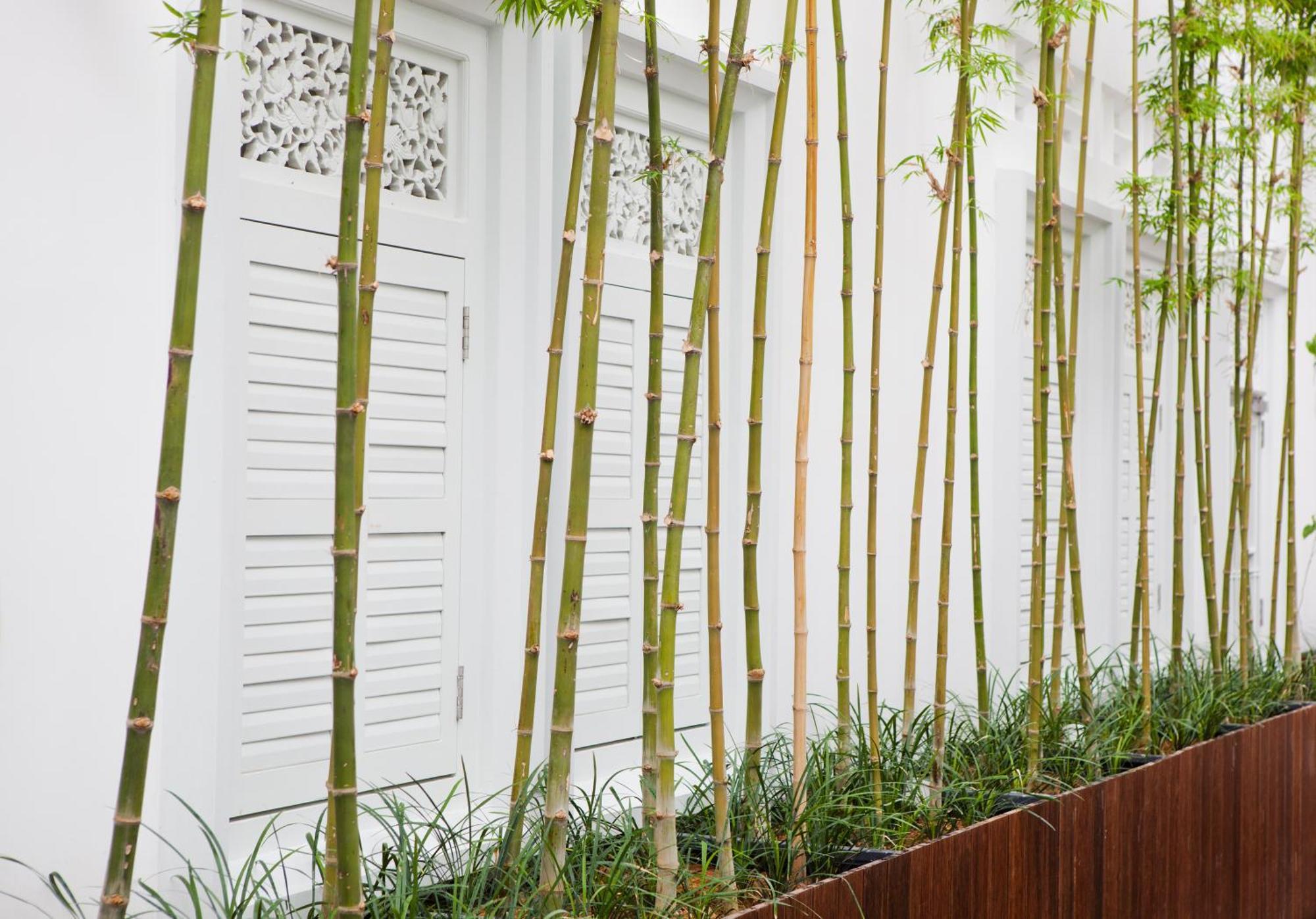เดอะ สุลต่าน Hotel สิงคโปร์ ภายนอก รูปภาพ